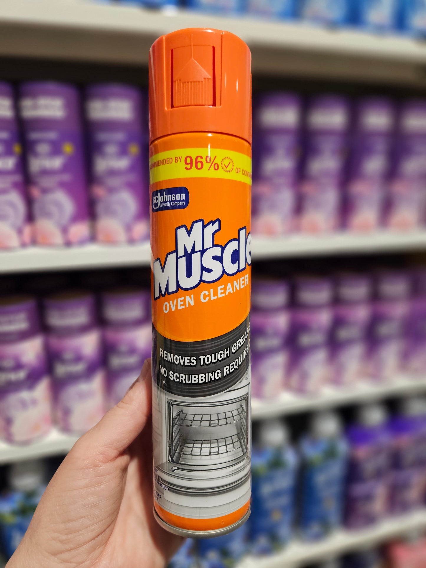 Mr. Muscle Oven Cleaner 300ml