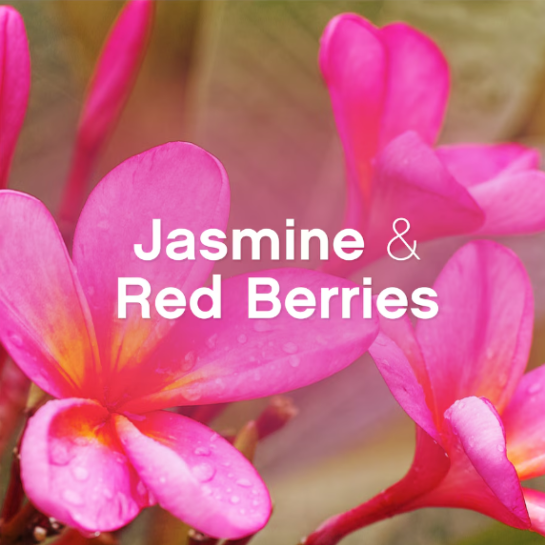 Lenor 26w 858ml Fabric Softener Jasmine & Red Berries