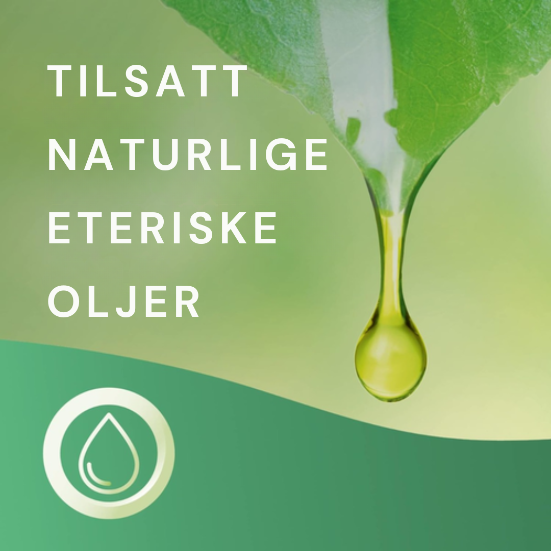 Air Wick Freshmatic Startsett - Spring Oasis 250ml