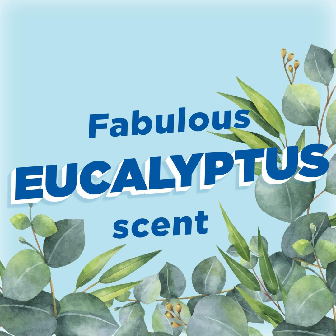 Duck Fresh Discs Starter Kit Eucalyptus 1 + 6