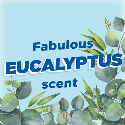 Duck Fresh Discs Starter Kit Eucalyptus 1 + 6