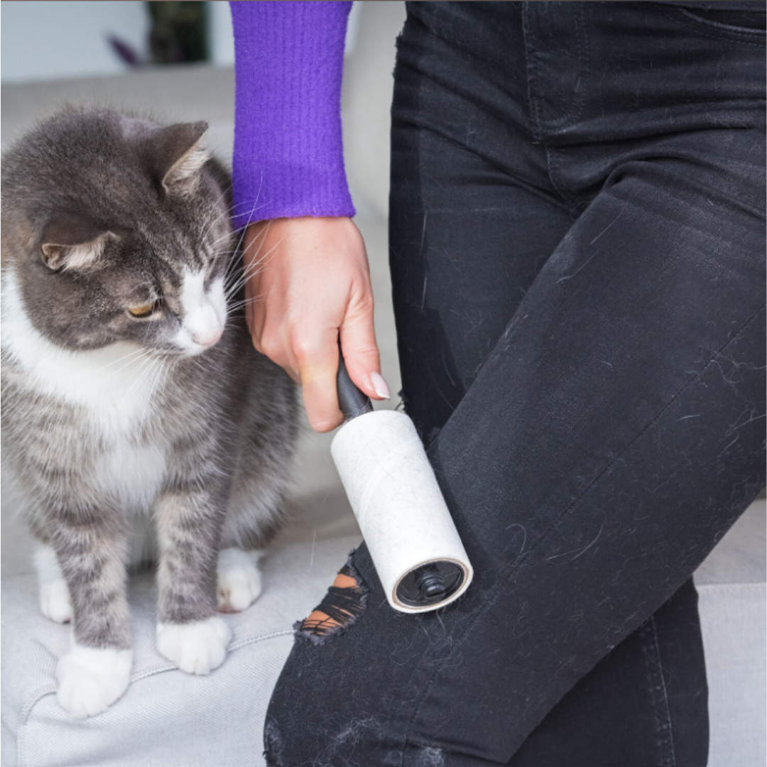 Vivid Lint Rollers Multipack 5pk