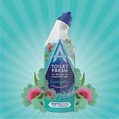 Astonish Toilet Gel Eucalyptus 750ml