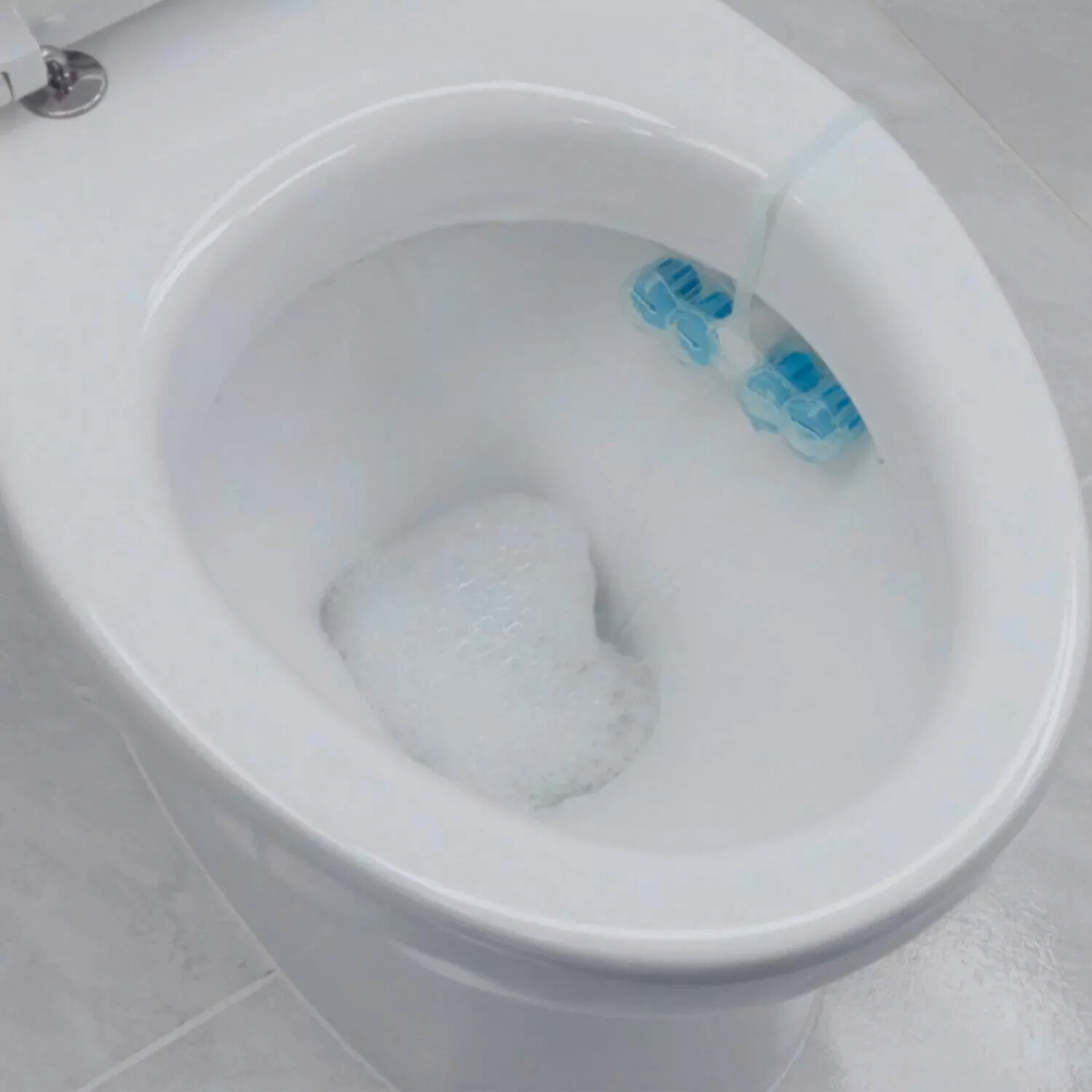 Domestos Power 5 Toilet Block Pine Winter Whispers 50g