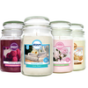 Airpure Jar Candle 510g Div.Typer