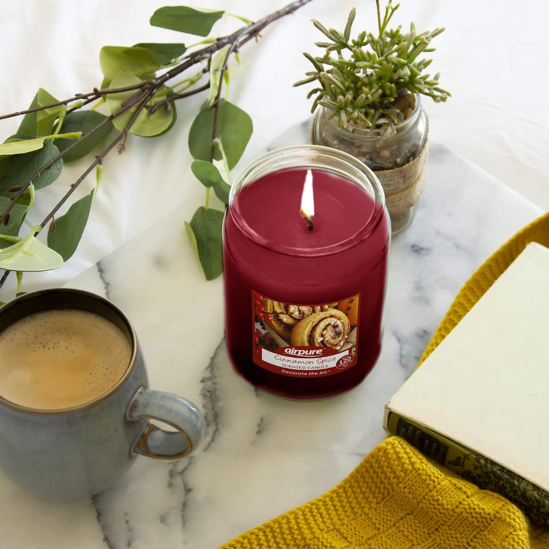 Airpure Jar Candle Cinnamon Spice 510g