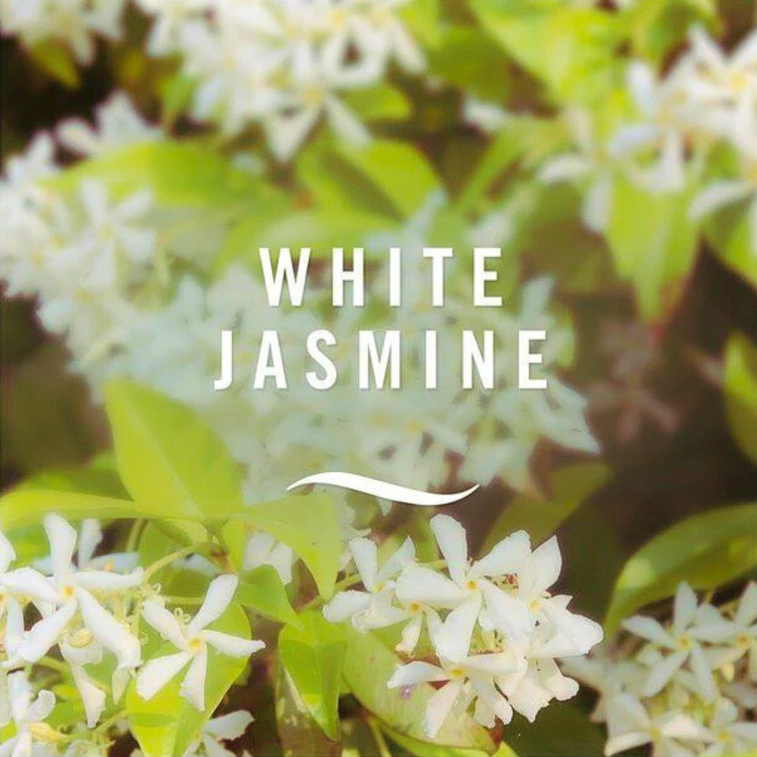 Febreze Air Mist White Jasmin 185ml