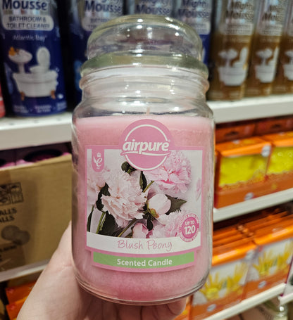 Airpure Jar Candle 510g Div.Typer