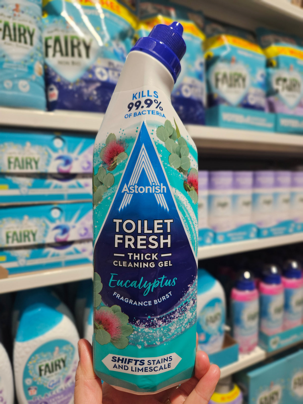 Astonish Toilet Gel Eucalyptus 750ml