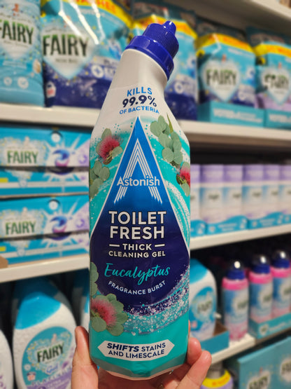 Astonish Toilet Gel Eucalyptus 750ml
