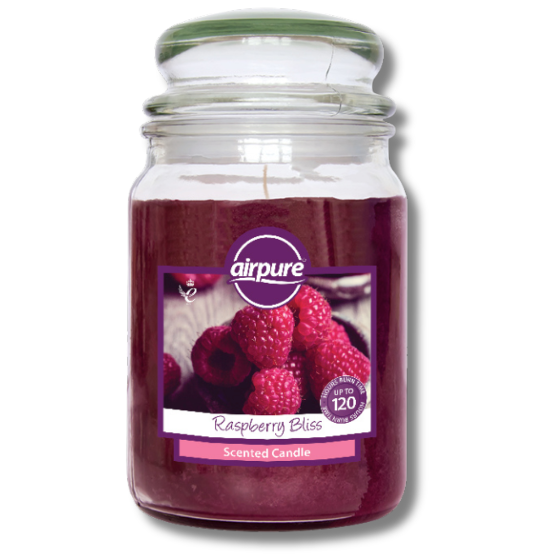 Airpure Jar Candle 510g Div.Typer