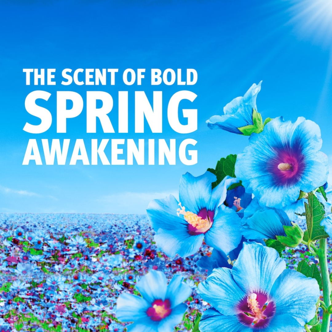Bold Laundry Powder m/Lenor Spring Awakening 72w 3.6kg