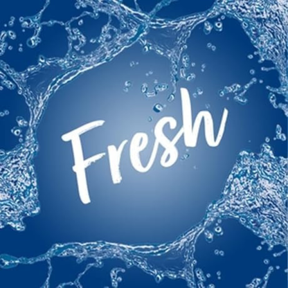 Airpure Air Freshener Atlantis Bay 250ml