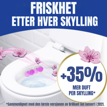 Bloo Brilliant Gel Toilet Rens Spring Rain 42g