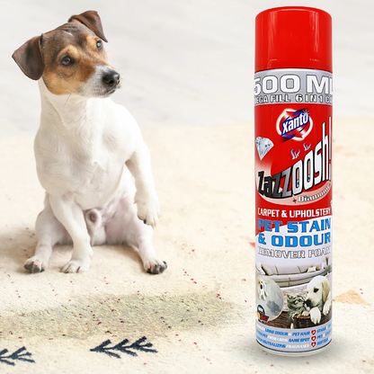Xanto Zazzooch Diamond Pet Stain & Odour Remover Foam 500ml