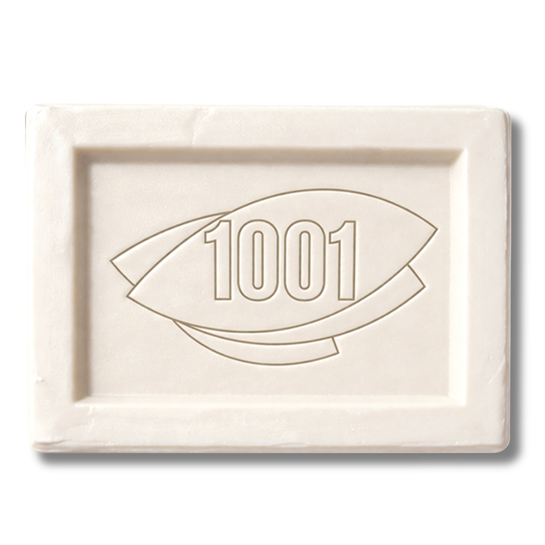 1001 Stain Remover Bar 100g
