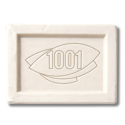 1001 Stain Remover Bar 100g