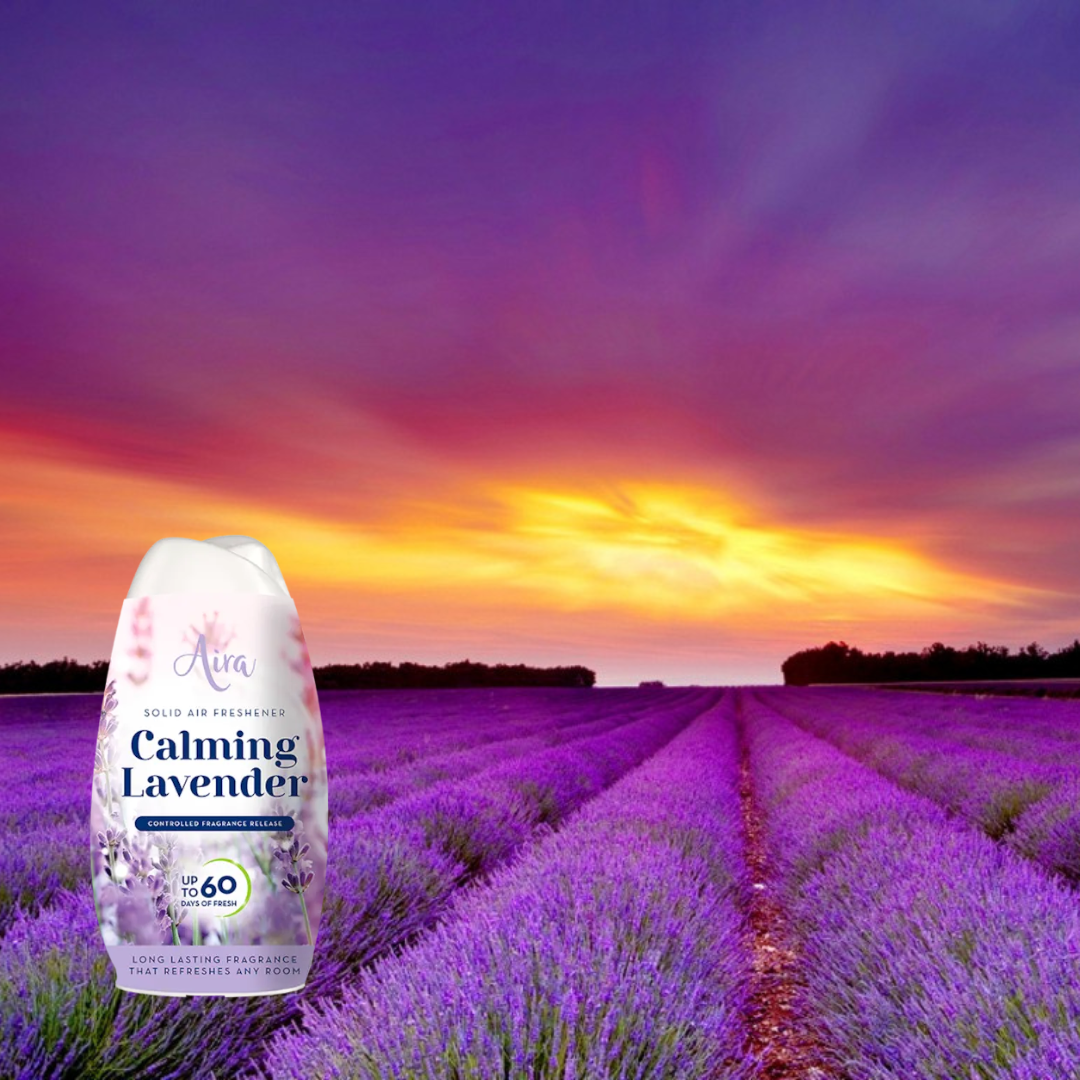 Aira Solid Air Freshener Calming Lavender