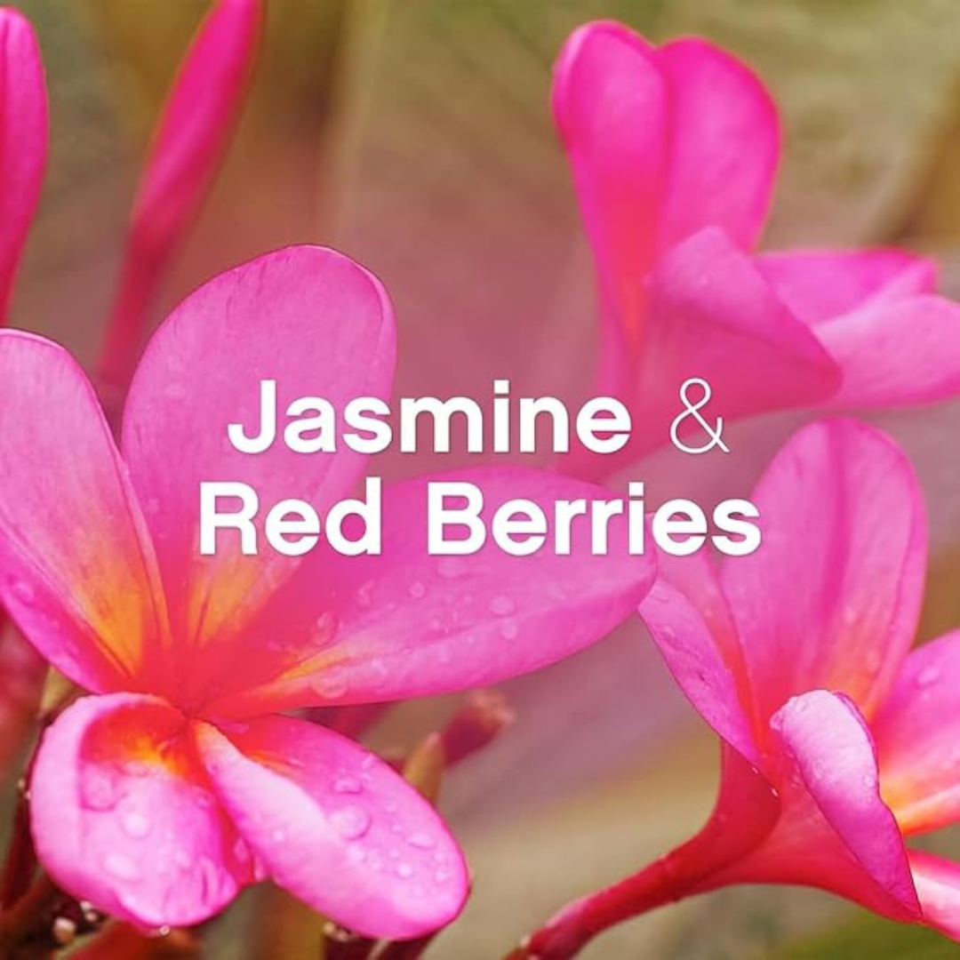 Lenor Jasmine & Red Berries Fabric Conditioner 194w 3,88L