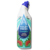 Astonish Toilet Gel Eucalyptus 750ml