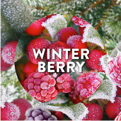 Airwick Reed Diffuser Winter Berry Wonderland 25ml