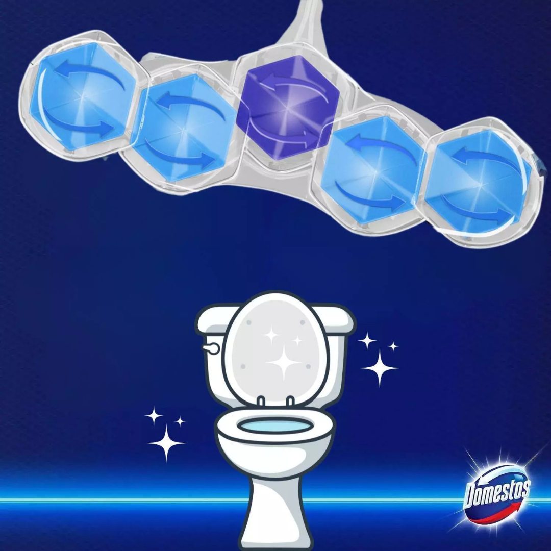 Domestos Power 5 Toilet Block Pine Winter Whispers 50g