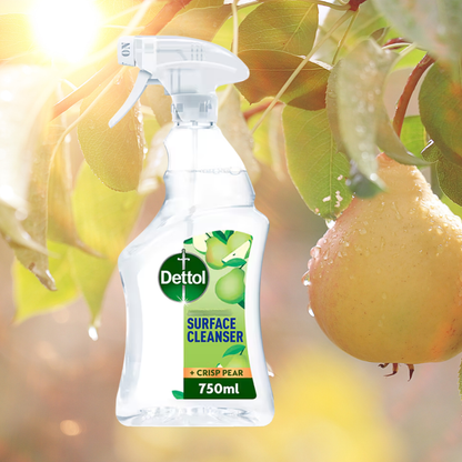 Dettol Multipurpose Cleaning Spray Crisp Pear 750ml