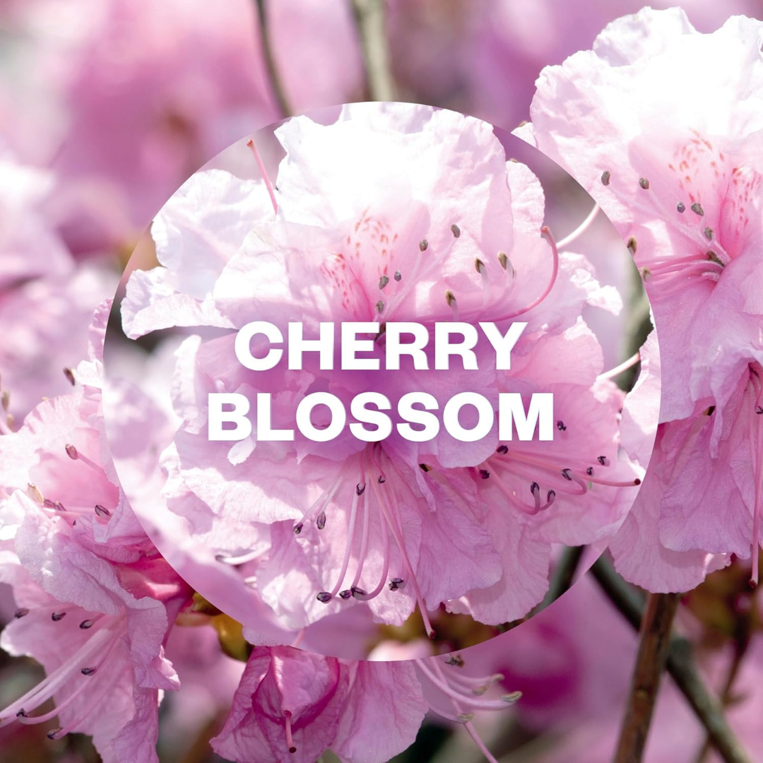 Airwick Freshmatic Refill Cherry Blossom 250ml