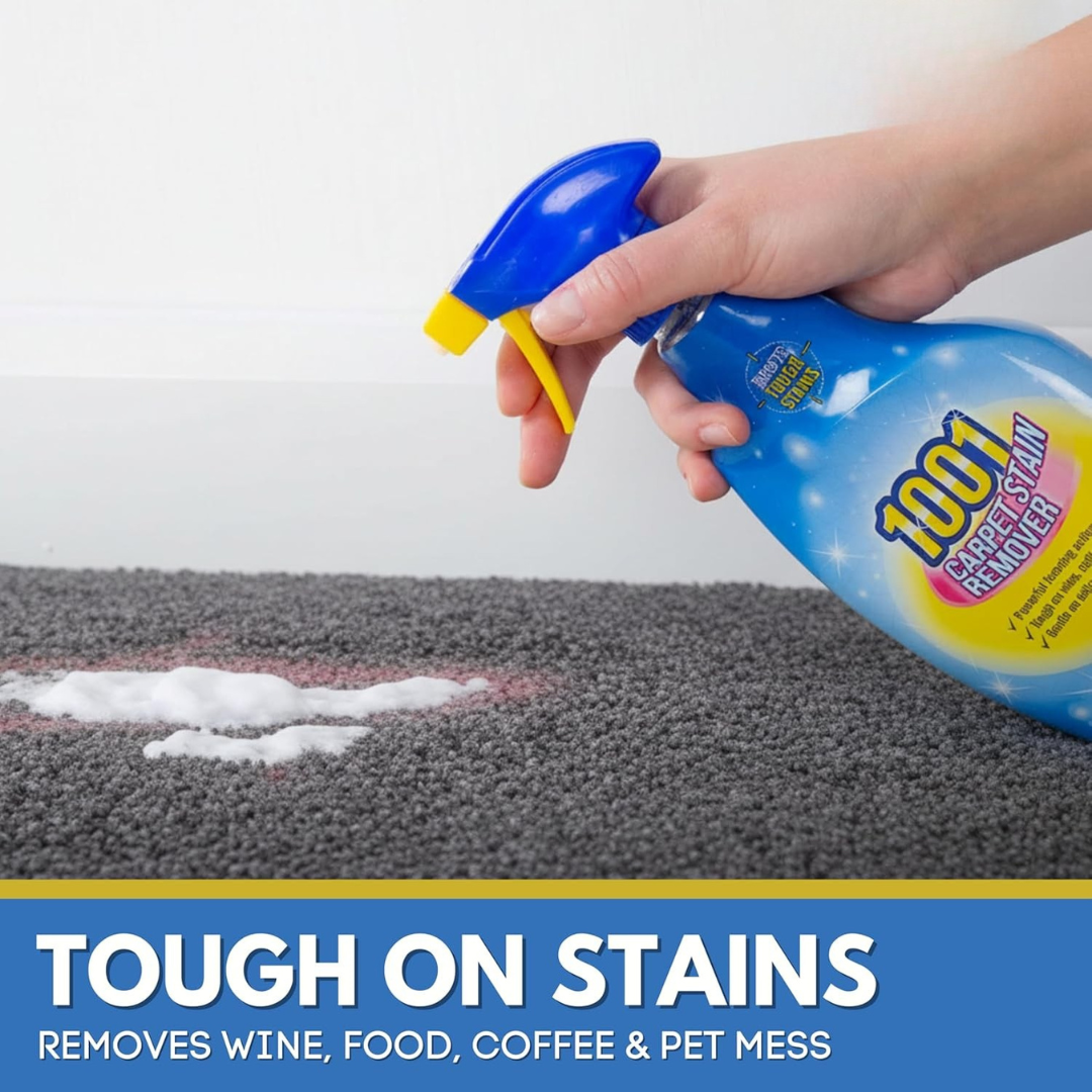 1001 Carpet Stain Remover 500ml