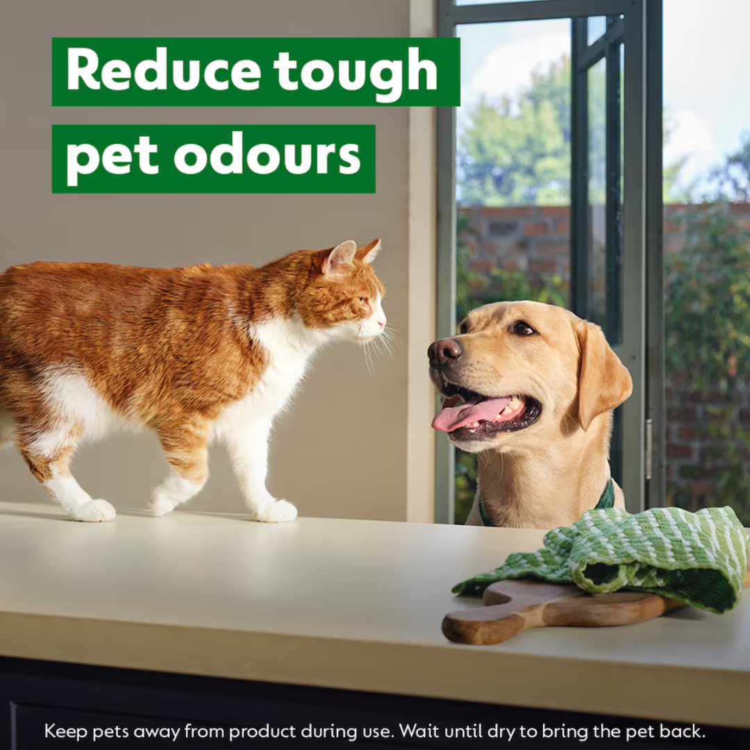 Dettol Homes with Pets Spray Fresh Breeze 300ml