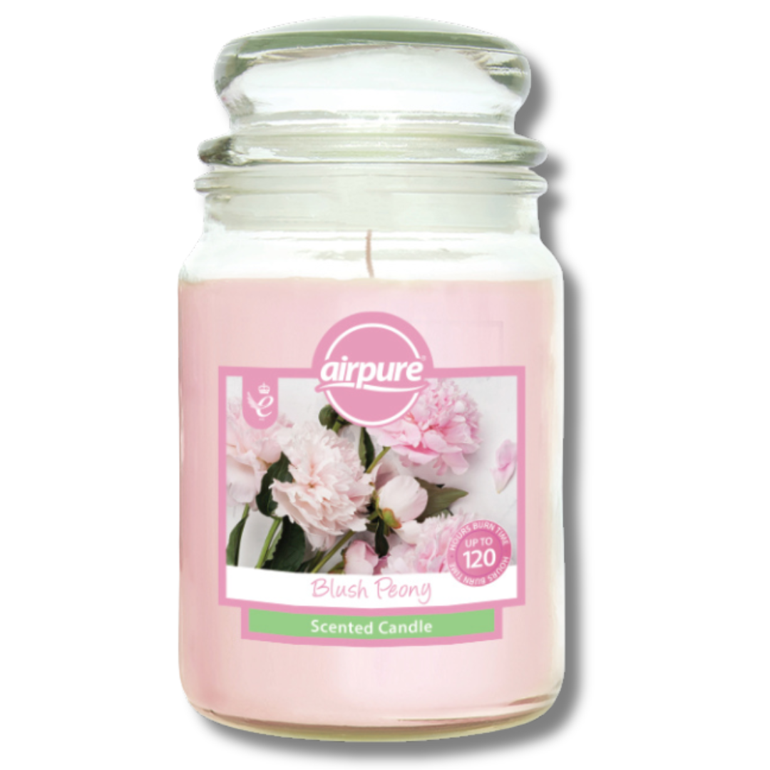 Airpure Jar Candle 510g Div.Typer