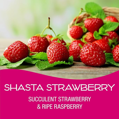 California Scent Palms Car Freshener Shasta Strawberry