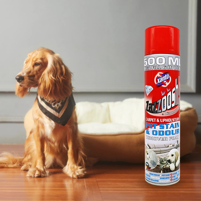 Xanto Zazzooch Diamond Pet Stain & Odour Remover Foam 500ml