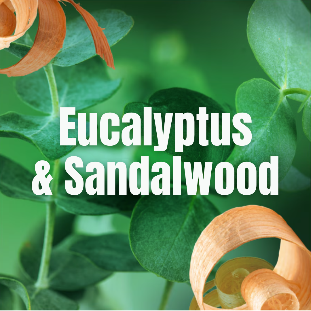 Lenor Fabric Softener Sandalwood & Eucalyptus 50w 1.65L