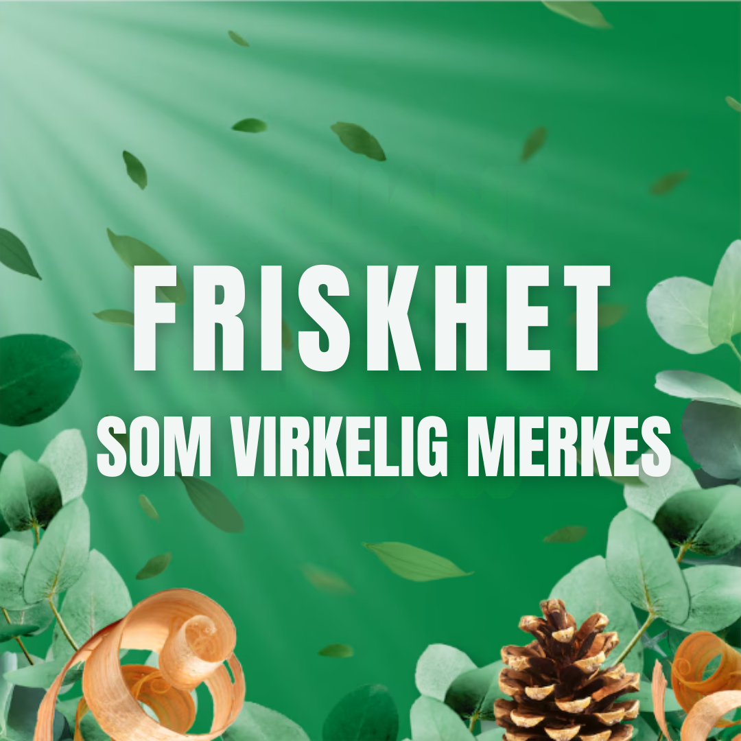 Lenor Fabric Softener Sandalwood & Eucalyptus 50w 1.65L