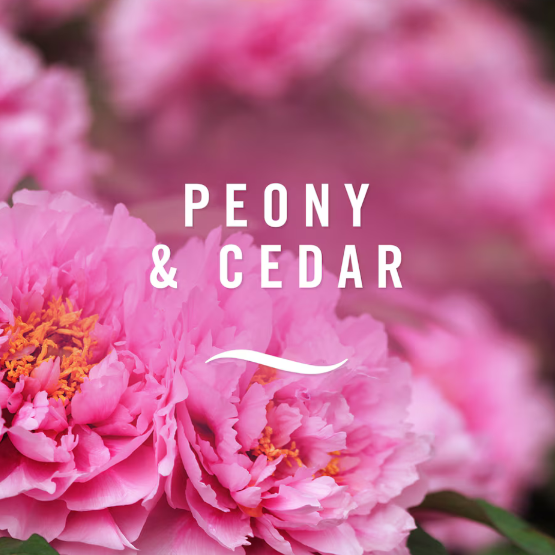 Febreze Fabric Refresher Peony & Cedar 375ml