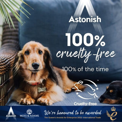 Astonish Fizz & Fresh Toilet Bowl Cleaner Tablets Eucalyptus Fresh 8pk