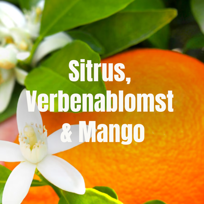 Lenor Fabric Softener Energize 26w 858ml