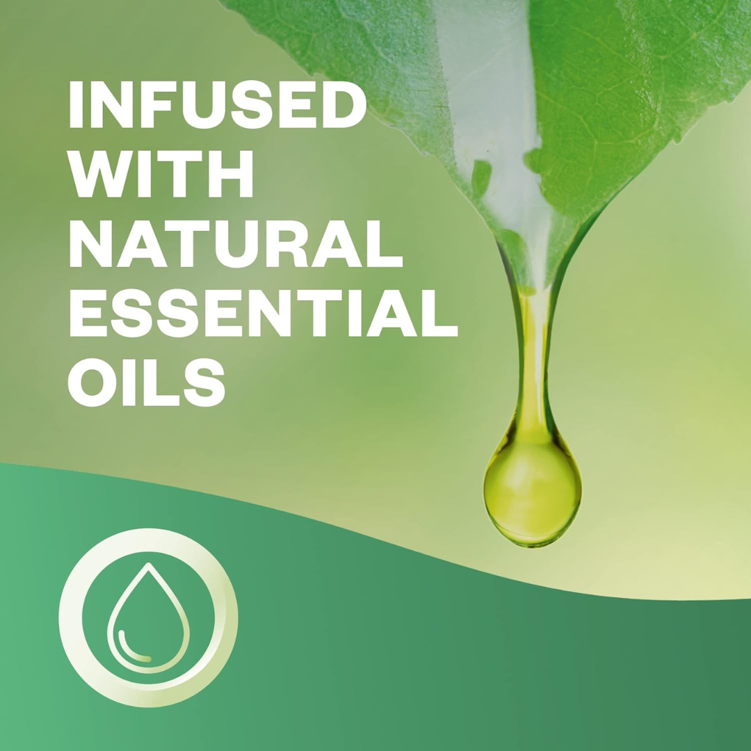 Airwick Freshmatic Startsett - Morning Meadow Limited Edition 250ml