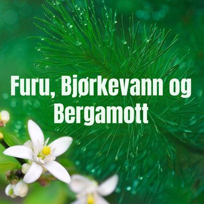 Lenor Fabric Softener Ocean Mist 50w 1.65L