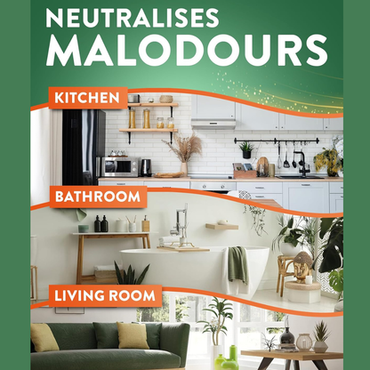 Airwick Reed Diffuser Ginger & Mandarin 42ml