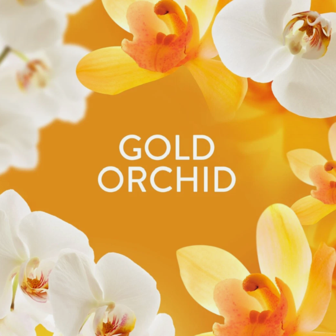 Lenor Scent Booster Gold Orchid 155g