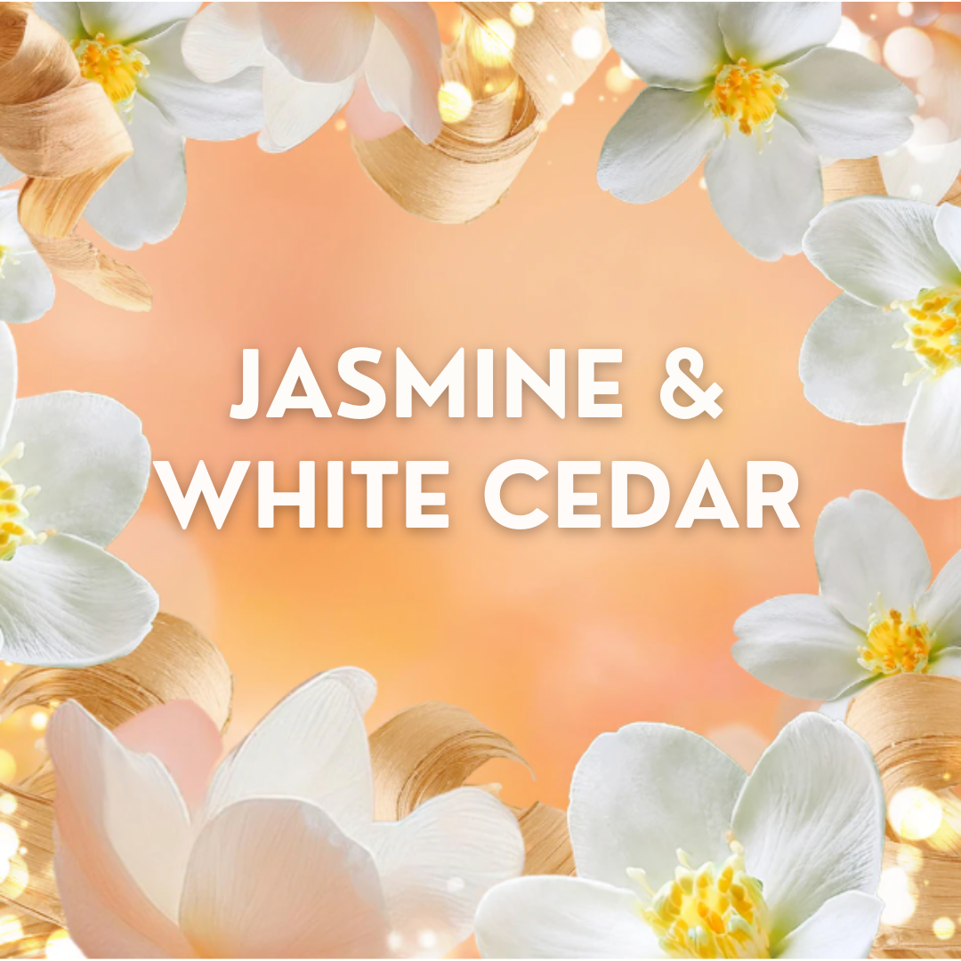 Lenor Fabric Softener Jasmine & White Cedar 26w 858ml