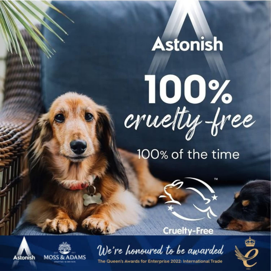 Astonish Floor Cleaner Zesty Lemon 1L