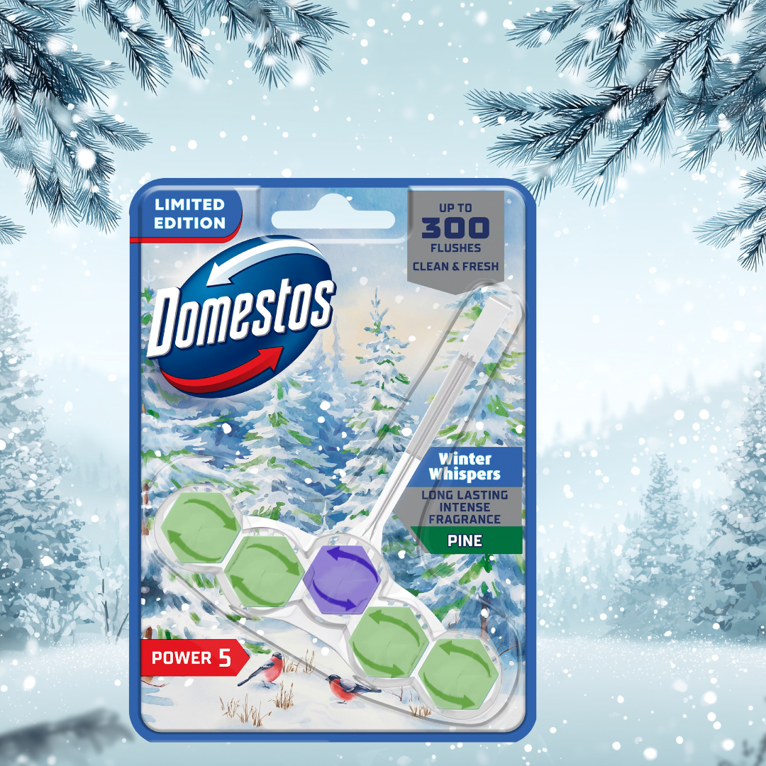 Domestos Power 5 Toilet Block Pine Winter Whispers 50g
