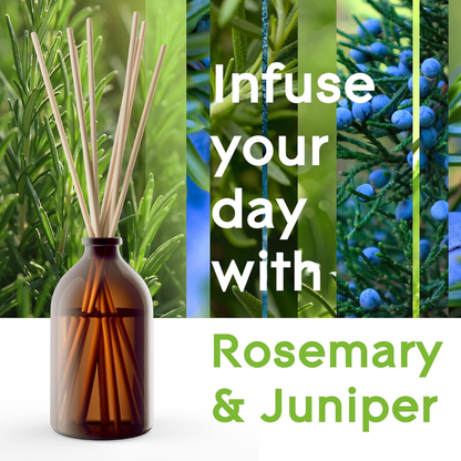Glade Aromatherapy Reed Diffuser Refreshing Energy 80ml