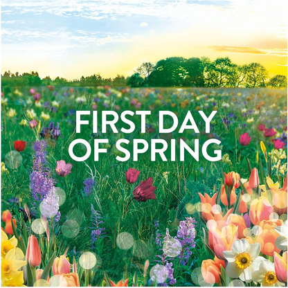 Lenor Scent Booster First Day Of Spring 168g