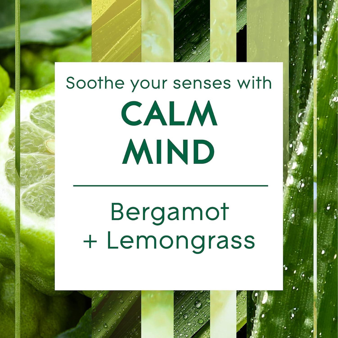 Glade Aromatherapy Reed Diffuser Calm Mind 80ml