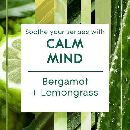 Glade Aromatherapy Reed Diffuser Calm Mind 80ml