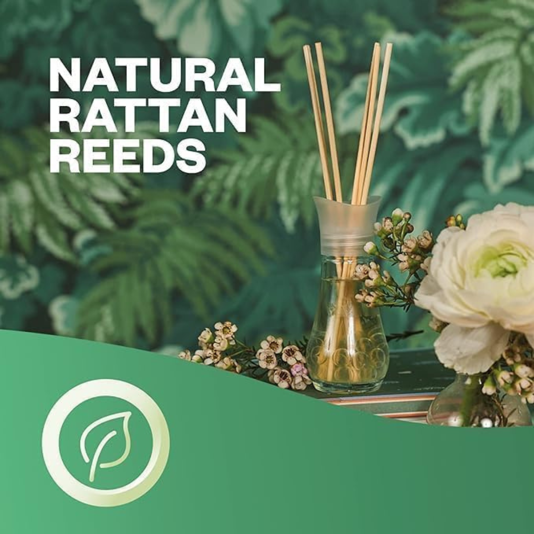 Airwick Reed Diffuser Fresh Spring Oasis 42ml